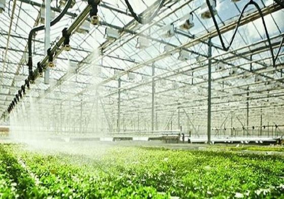 900000 GPD-Umkehr-Osmose-Systeme für die Landwirtschaft