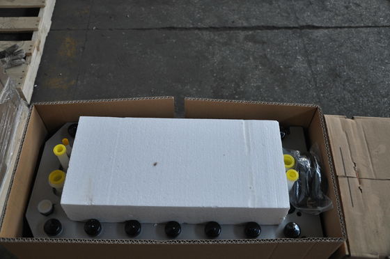 Veolia Suez EDI Stacks E-Cell MK-3 für die Halbleiterindustrie