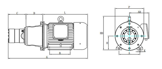 DHP 2.1 Axial Piston Pump 7.8kg Compact High-Pressure Water Treatment Consumables for Small-Medium Desalination