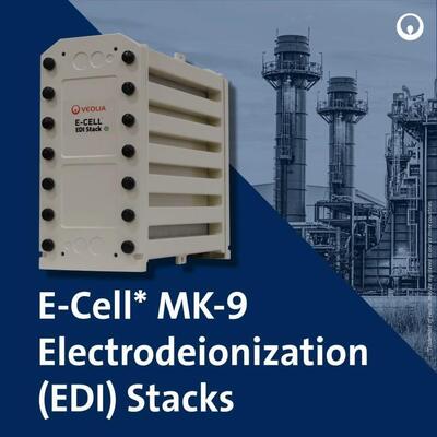 E-Cell MK-9 EDI-Stapel für die Produktion von hochreinem Wasser mit einem Durchflussbereich von 18,5-44,0 GPM und ohne chemische Regeneration in Edelstahl