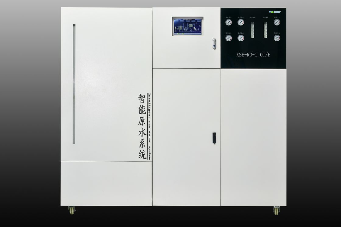 1T/H kommerzielle Umkehrosmose-Wasseranlage mit Plus- und Play-vorentwickeltem Design