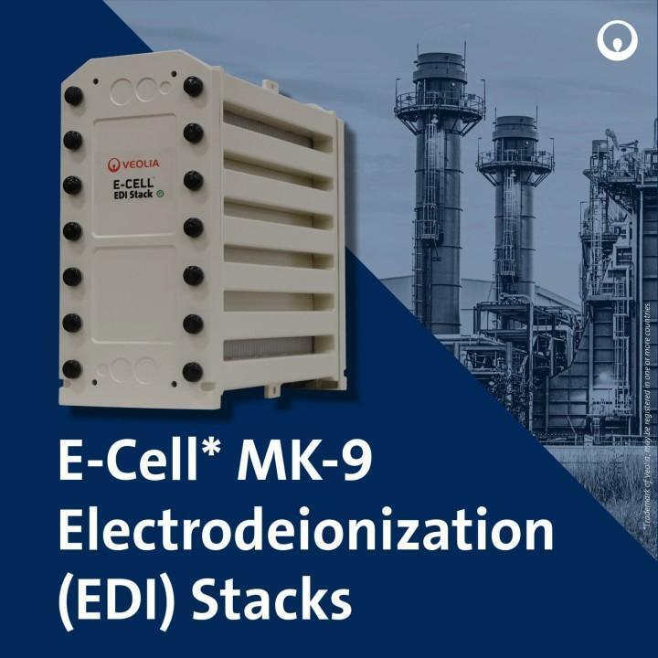 E-Cell MK-9 EDI-Stapel für die Produktion von hochreinem Wasser mit einem Durchflussbereich von 18,5-44,0 GPM und ohne chemische Regeneration in Edelstahl